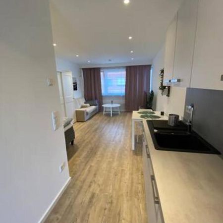 Stylish Luxus Appartments In The City Center Trier Eksteriør billede